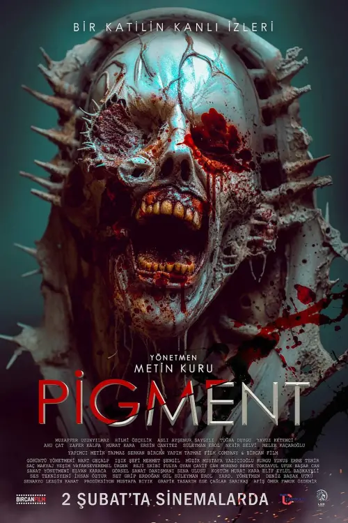 Movie poster "Pigment"