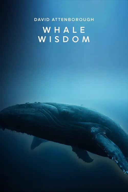 Movie poster "Whale Wisdom"