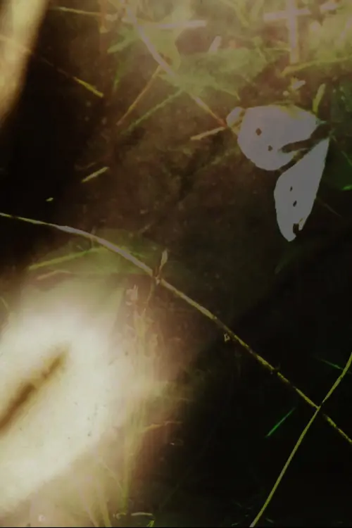 Movie poster "Garden Film"