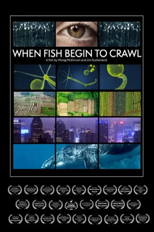 Movie poster "When Fish Begin to Crawl"