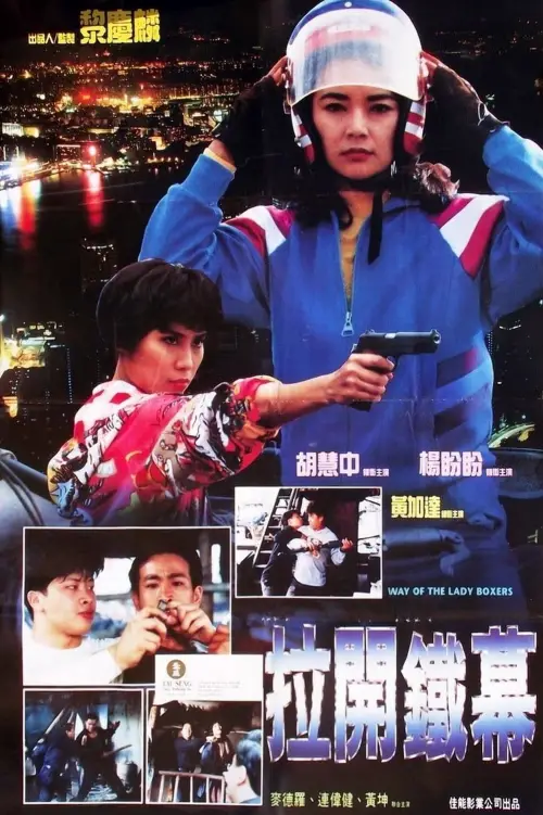 Movie poster "The Way Of The Lady Boxers"