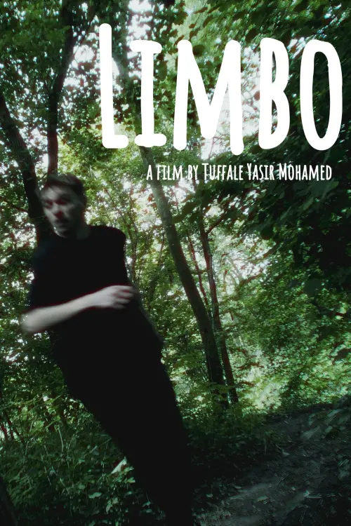 Movie poster "Limbo"