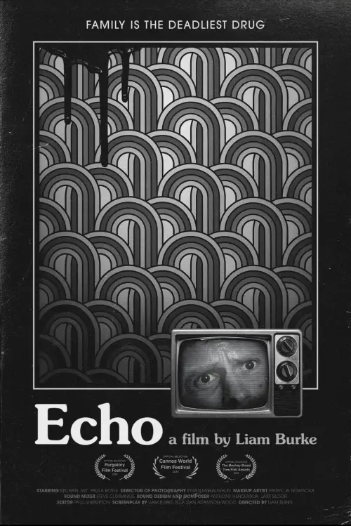 Movie poster "Echo"