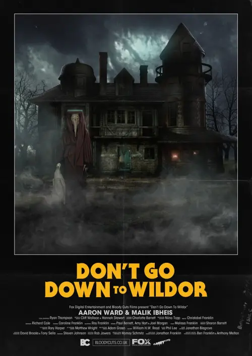 Movie poster "Don’t Go Down to Wildor"