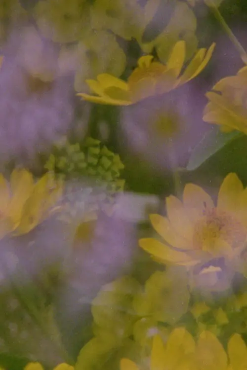 Movie poster "Now and in the time of our death"