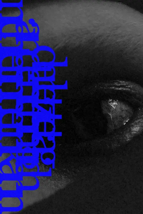 Movie poster "the last day i can no longer remember."