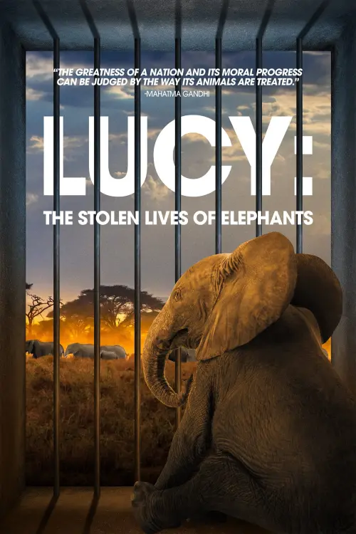 Movie poster "Lucy: The Stolen Lives of Elephants"