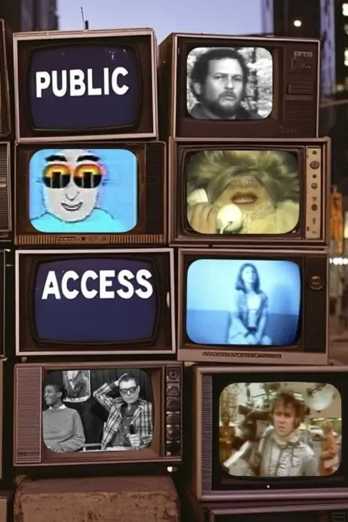 Movie poster "Public Access"