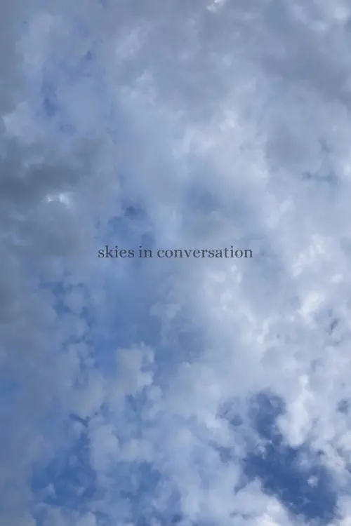 Movie poster "skies in conversation"
