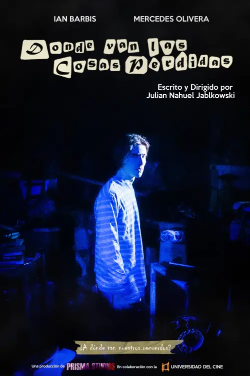 Movie poster "The Place Where the Lost Things go"