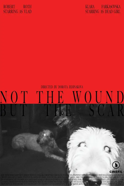 Movie poster "Not the Wound but the Scar"