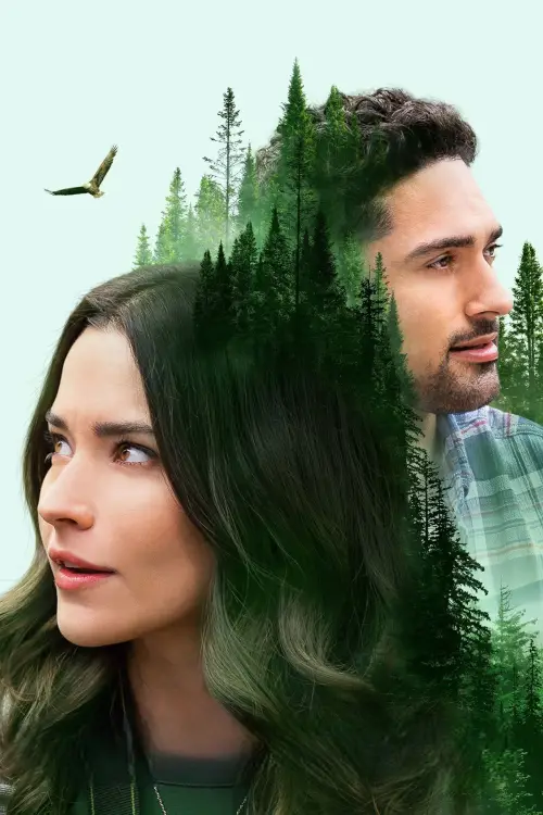 Movie poster "Journey of My Heart"