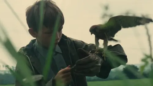 Watch film Kes | KES (1969) Trailer - The Criterion Collection