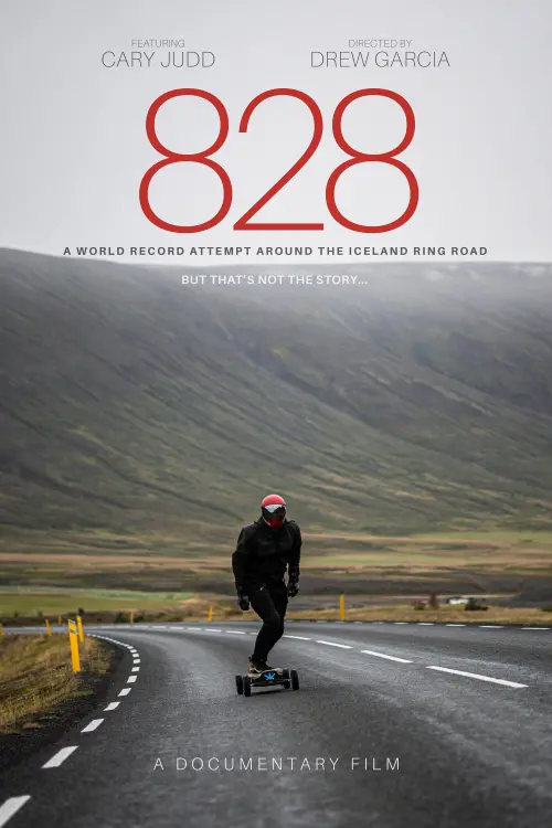 Movie poster "828"