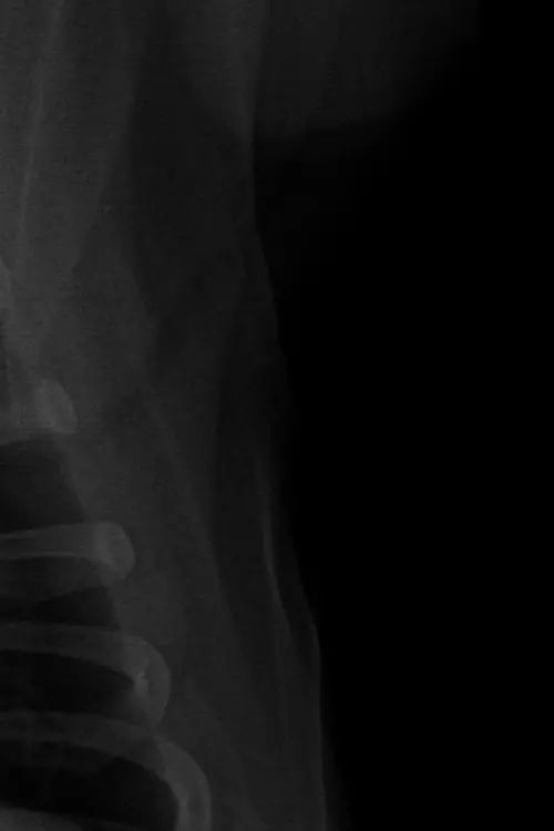 Movie poster "MENTIRAS PIADOSAS."