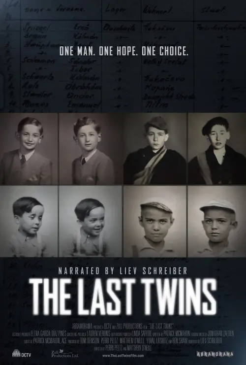 Movie poster "The Last Twins"