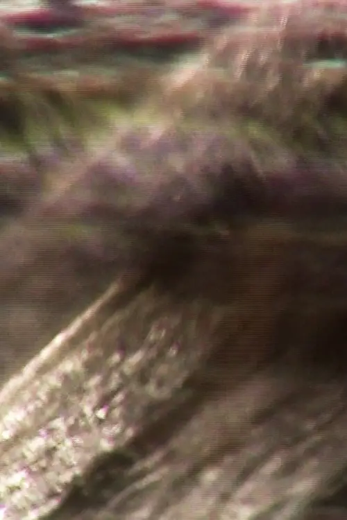 Movie poster "in thin air"