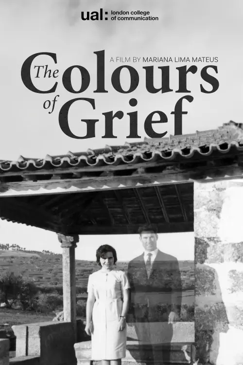 Movie poster "The Colours of Grief"