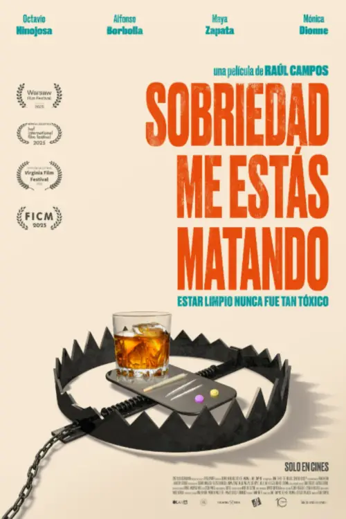 Movie poster "Dear Sobriety: You