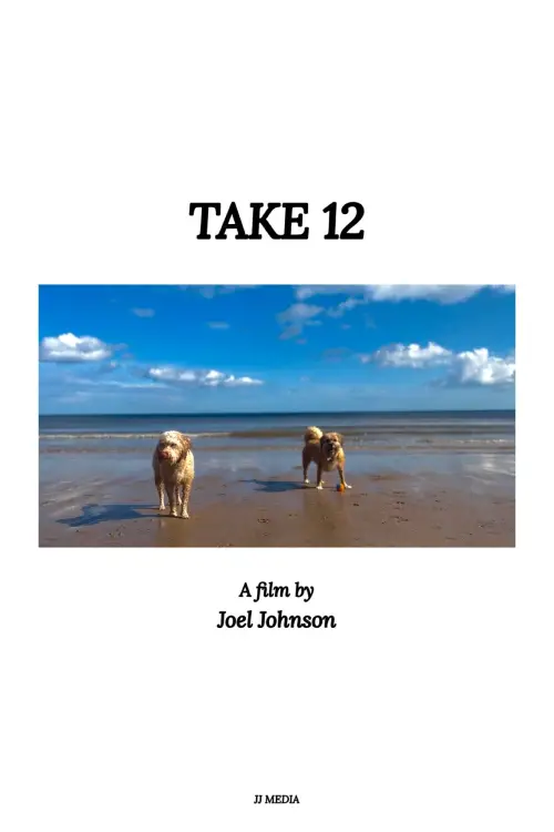 Movie poster "Take 12"