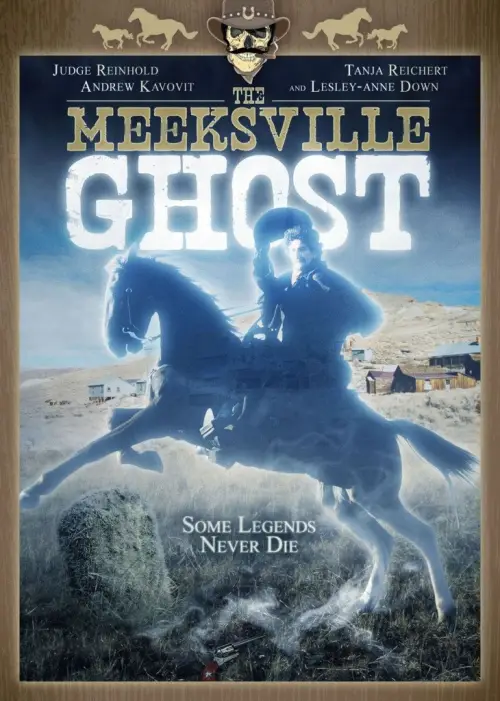 Movie poster "The Meeksville Ghost"