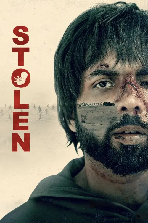Movie poster "Stolen"