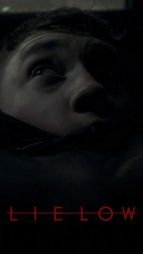 Movie poster "Lie Low"
