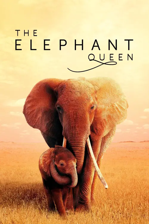 Movie poster "The Elephant Queen"