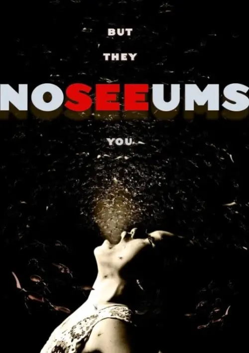 Movie poster "Noseeums"