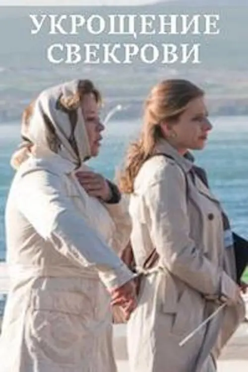 Movie poster "Укрощение свекрови"