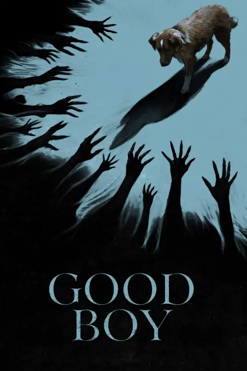 Movie poster "Good Boy"