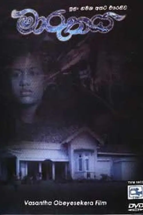 Movie poster "The Storm"