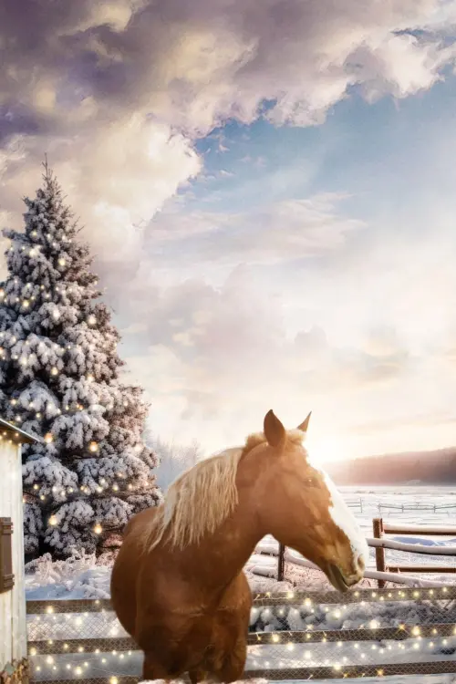 Movie poster "December Horses"