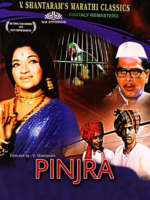 Movie poster "Pinjra"