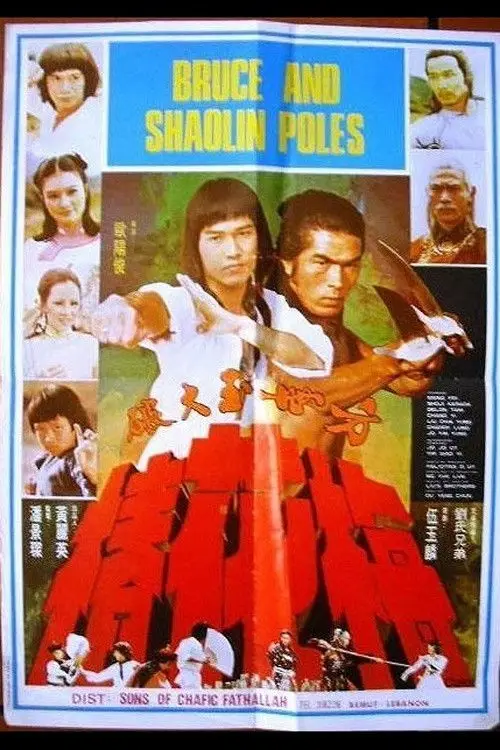 Movie poster "Secret of the Shaolin Poles"