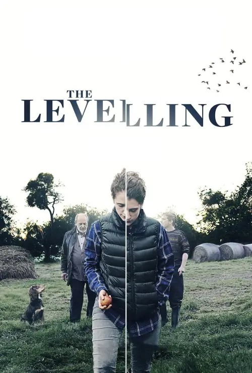 Movie poster "The Levelling"