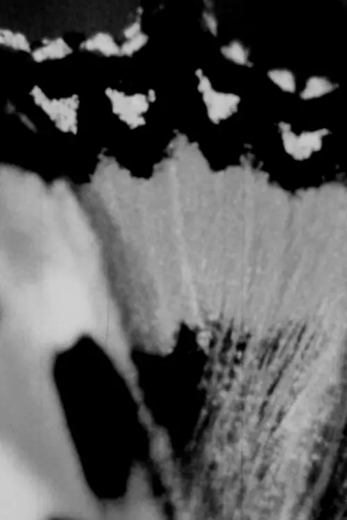 Movie poster "Butterfly Maneuvers"