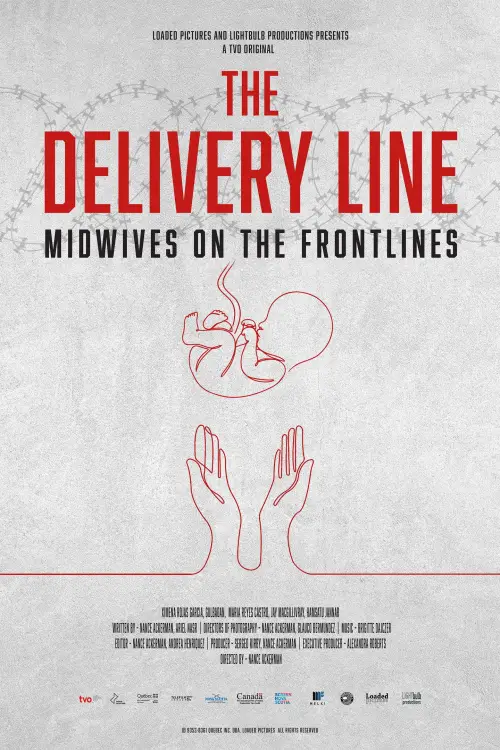 Movie poster "The Delivery Line"
