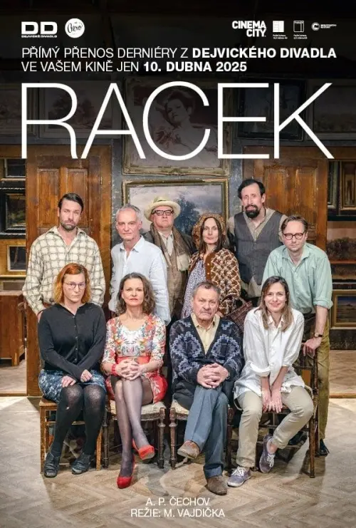 Movie poster "Racek"