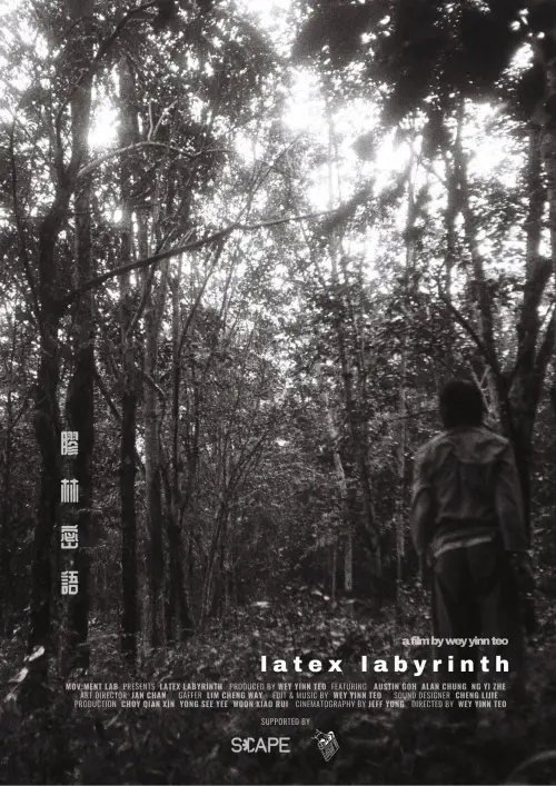 Movie poster "Latex Labyrinth"