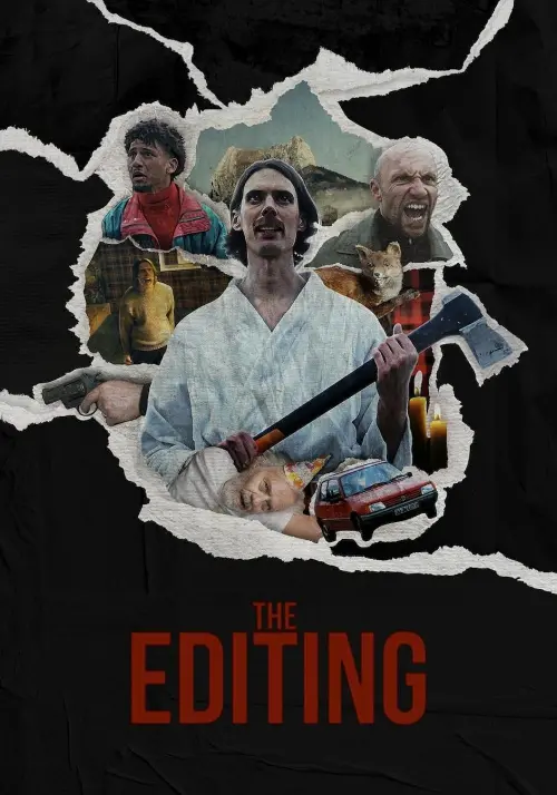 Movie poster "The Editing"
