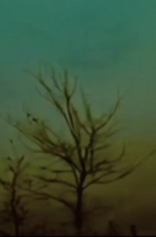 Movie poster "ONCE UPON A LOO"