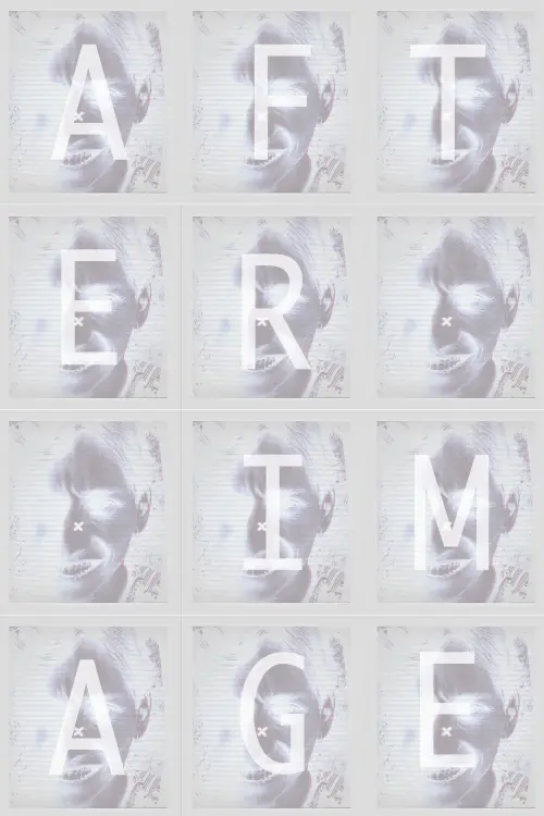 Movie poster "Afterimage"