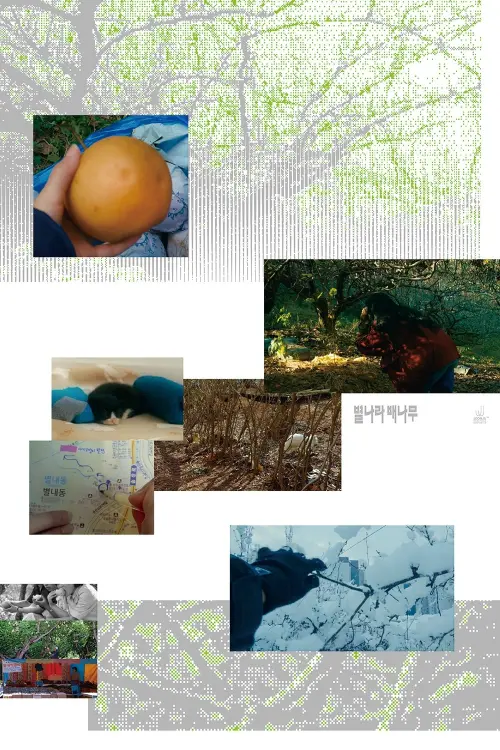 Movie poster "A Pear Tree In The Star Village"