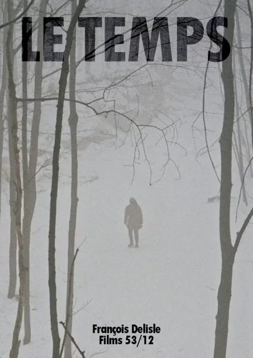 Movie poster "Waiting for the Storms"
