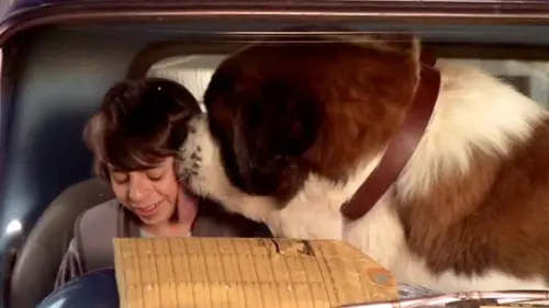 Watch film Beethoven