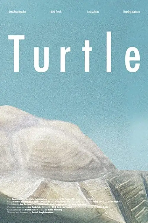 Movie poster "Turtle"