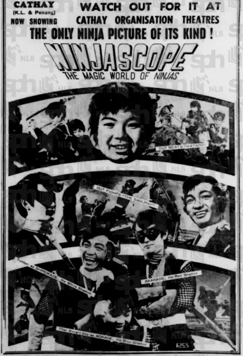Movie poster "Ninjascope: The Magic World of Ninjas"