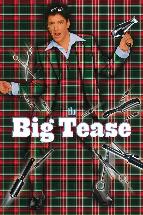 Movie poster "The Big Tease"
