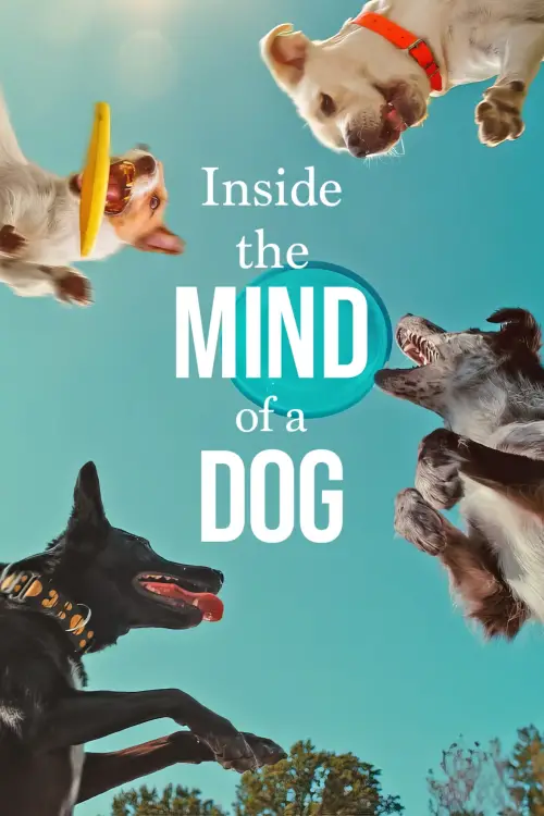 Movie poster "Inside the Mind of a Dog"
